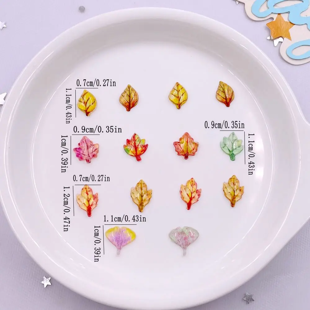 50pcs Mixed Resin Mini Crystal – Paradise Jewelry & Watches Dolphin Mall recenzja i cena